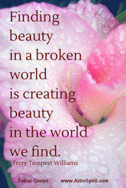 Finding-beauty-in-a-broken-world-is-creating-beauty-in-the-world-we-find.-.-2